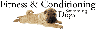Dog Fitness and Conditioning
