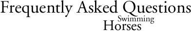 Frequently Asked Questions - Horses