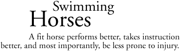 Swimming Horses